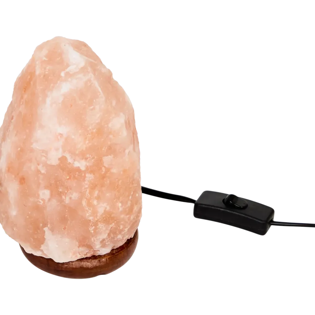 Absolu Chic zoutsteenlamp Oranje | Action NL