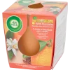Air Wick Essential Oils geurkaars Anti-tabak Oranje | Action NL