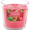 Candra geurkaars | Action NL