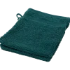 Capetown washandjes Groen | Action NL