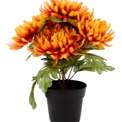 Excellent Flowers chrysant in pot | Action NL