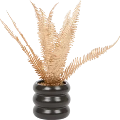 Gouden plant in pot | Action NL