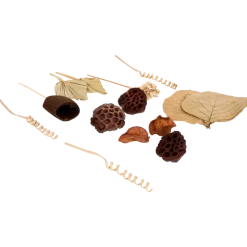 Herfst decoratiemix | Action NL