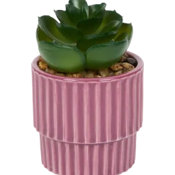Kunstvetplantje in pot | Action NL