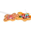 Lollies | Action NL