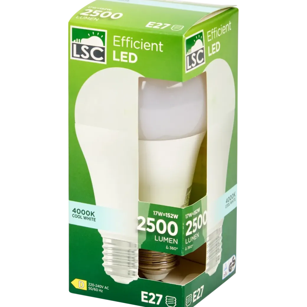 LSC ledlamp 17 watt 2500 lm | Action NL