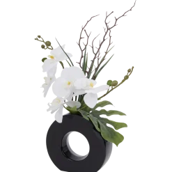 Orchidee in vaas | Action NL