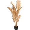 Palm in pot XL | Action NL
