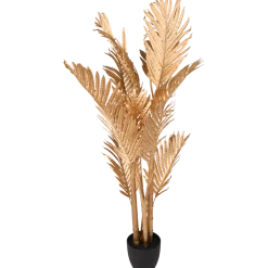 Palm in pot XL | Action NL