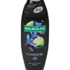 Palmolive Men Intense douchegel Re-Energise 500 ml | Action NL
