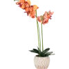 The Hamptons Collections HOME orchidee in pot | Action NL