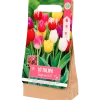 Tulpenbollen | Action NL