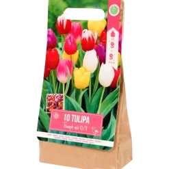 Tulpenbollen | Action NL