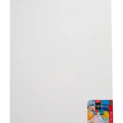 Van Bleiswijck canvas schildersdoek | Action NL