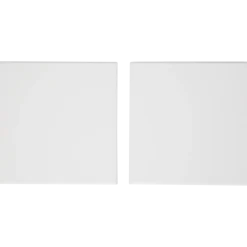 Van Bleiswijck schildersdoeken | Action NL